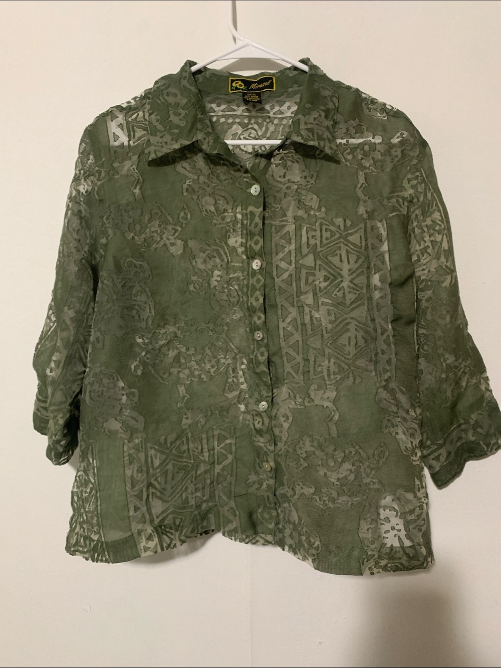 Mirasol Green Sheer Button-Front Blouse